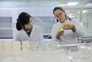 新區再添國家CNAS認證實驗室，檢驗檢測服務能力再上新臺階